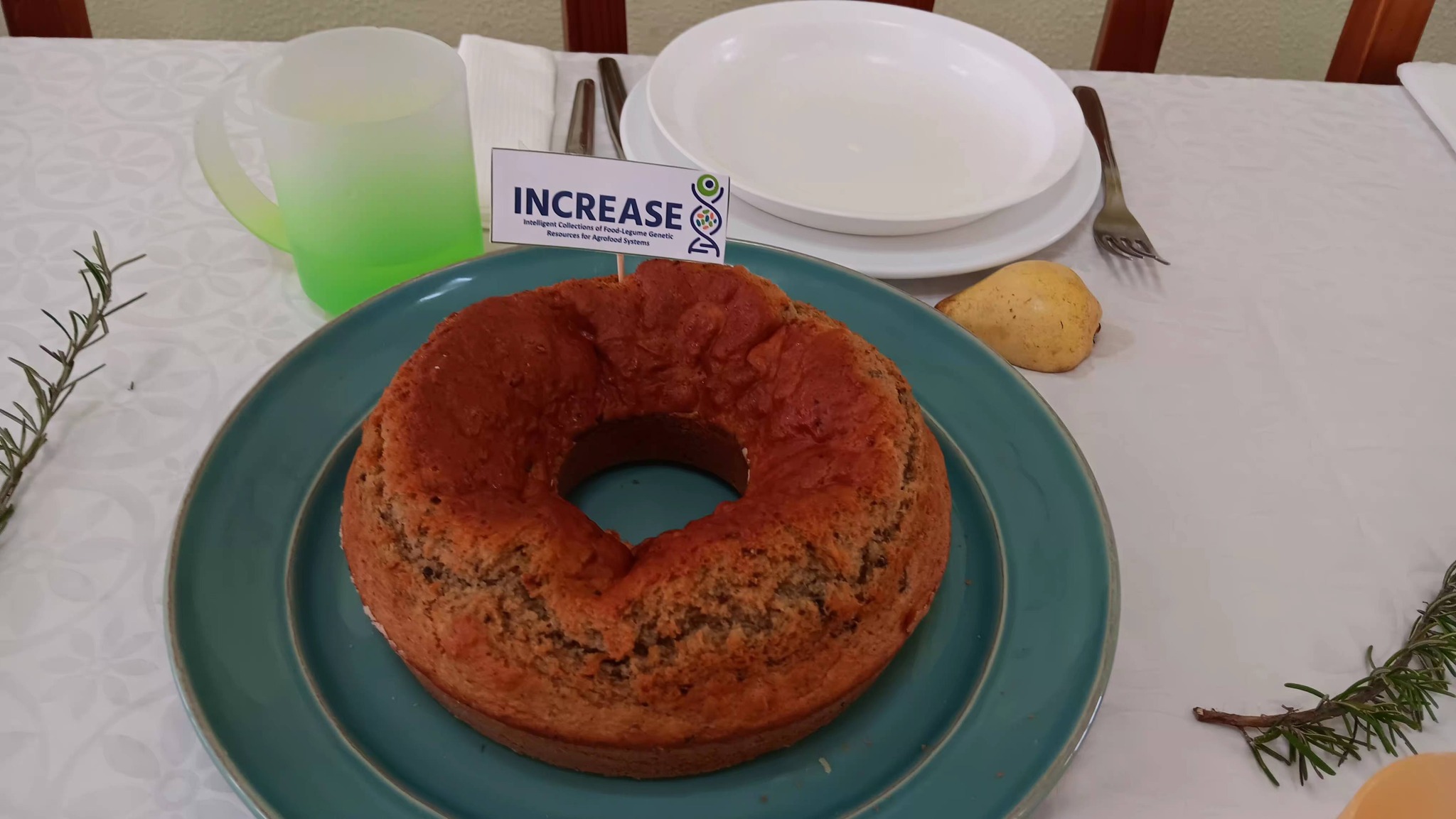 Feature School Portugal